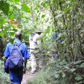  Hiking in Dense Jungle